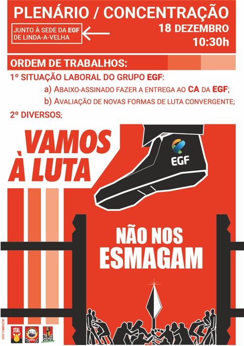 201211 proposta EGF cartaz plenário 85e7d
